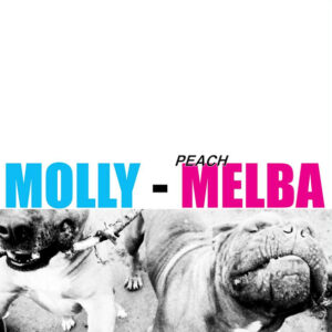 Molly - Peach Melba
